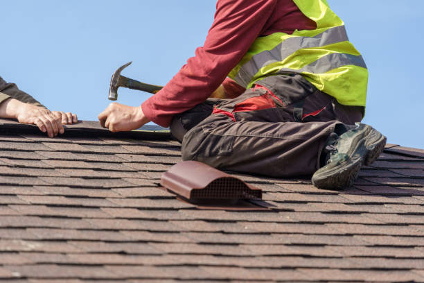 Best Roof Gutter Cleaning  in Woodbury Heights, NJ
