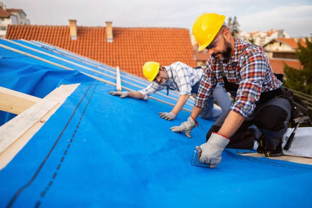 Best Roof Repair Services  in Woodbury Heights, NJ